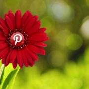 Pinterest: Brand Reputation Non Profit