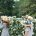 Orticola: Rondine a Primavera